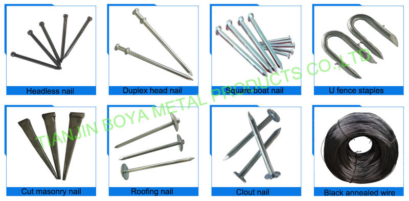 Polished Cut Masonry Nail with High Quality