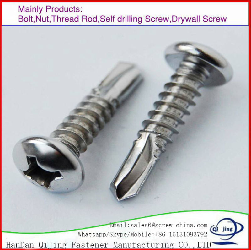 Stainless Steel 316/304 Carbon Steel Phillips Truss Head Sheet Metal Screws