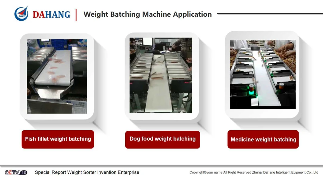 Fillet Weight Batching Machine with Flapper Rejector