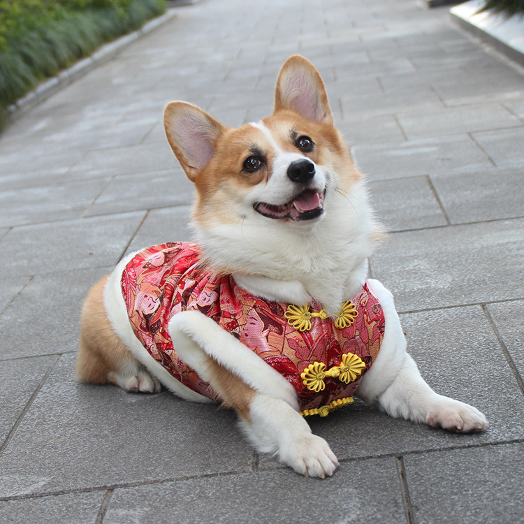 Cotton Padded Clothes with Brocade and Buckle for Pets