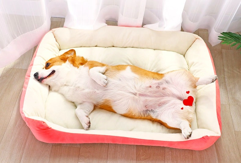 Wholesale New Design High Quality Luxury Soft Dog Bed