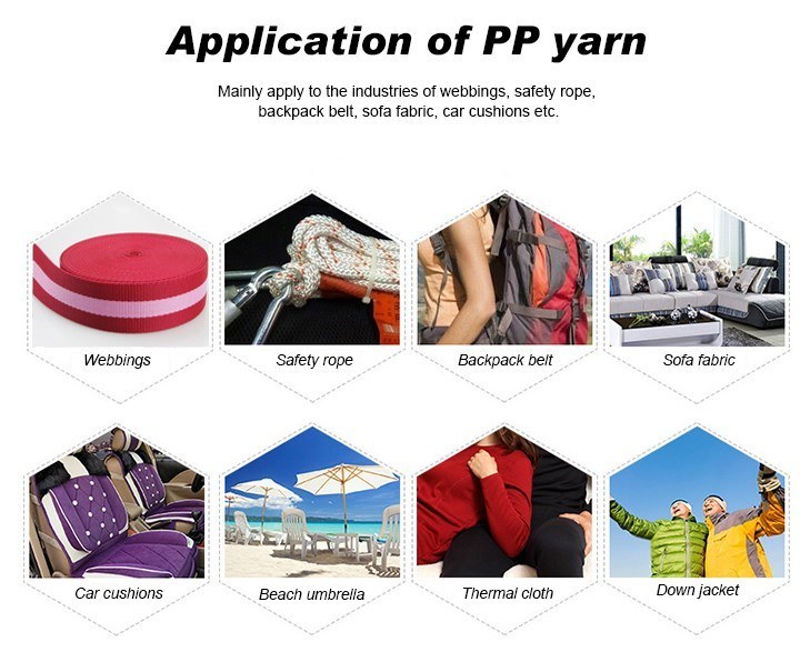 300d Polypropylene/PP FDY Yarn for Pet Rope
