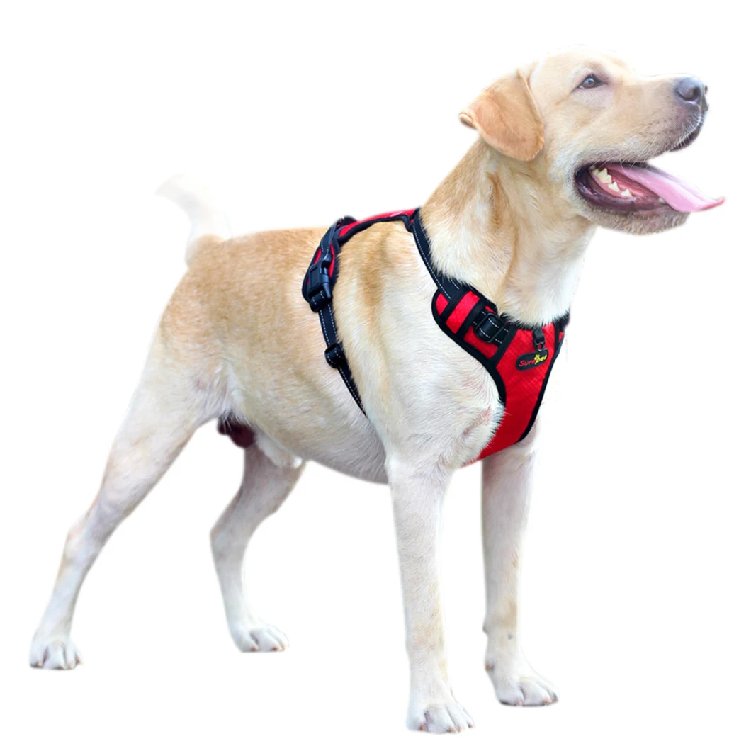 Pet Accessories Reflective Pet Collar Dog Harness Dog Collar