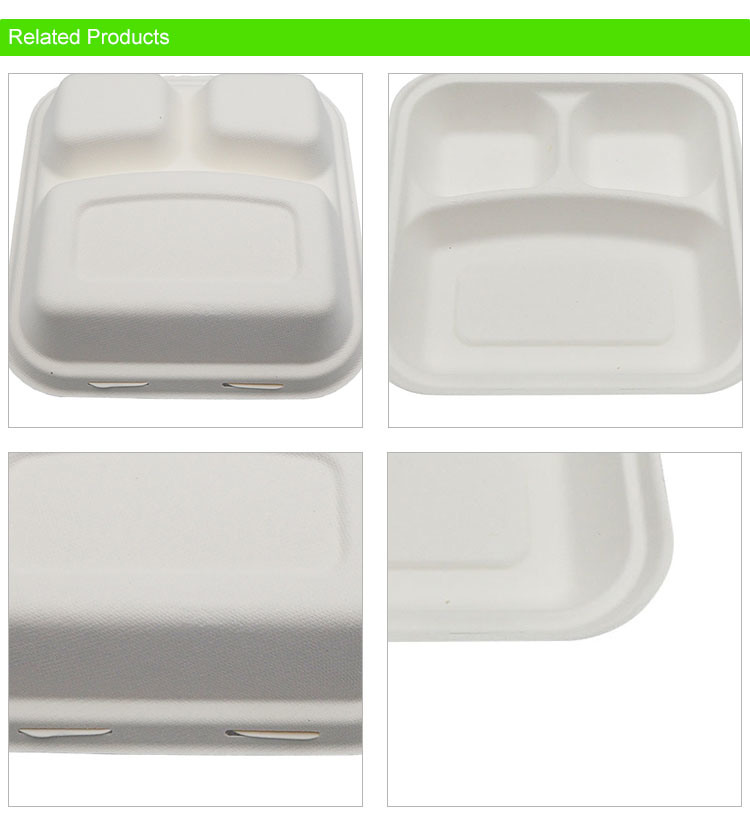 Eco Friendly Tableware Environmentally Friendly Food Box Biodegradable Food Package