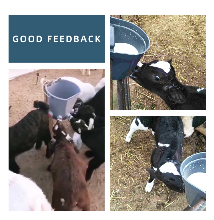 Calf Feeding Bucket Lamb Feeding Bucket Multi-Mouth Feeding Bucket