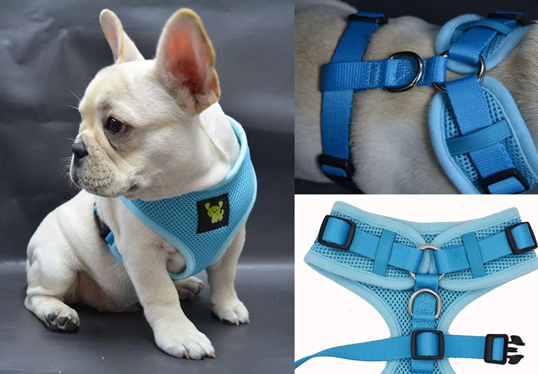 Low Price Dog Harness Adjustable Pet Vest Customized Logo Pet Supplies Small Animal Training Harness