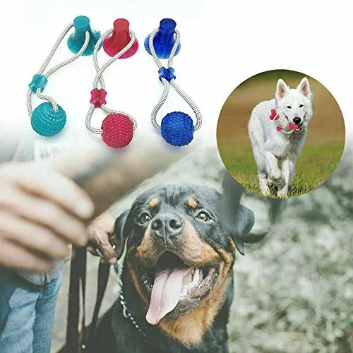 Pet Chew Toys for Aggressive Chewers, Molar Bite Toy