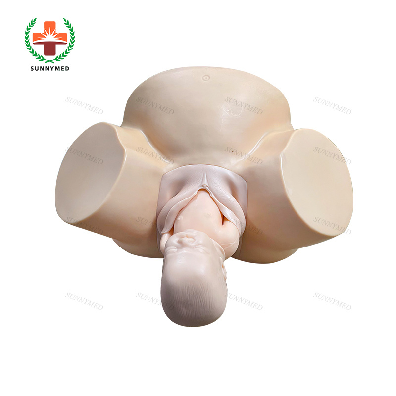 Sy-N064 Medical Childbirth Gynecology Delivery Model for Teaching/Training