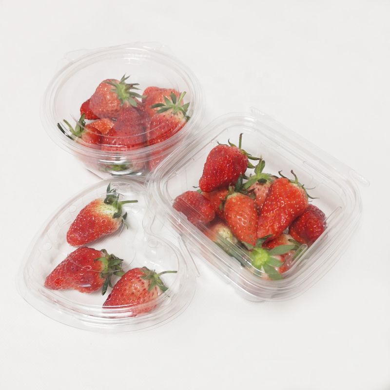 Empty House Pet Plastic Disposable Round Containers with Lid