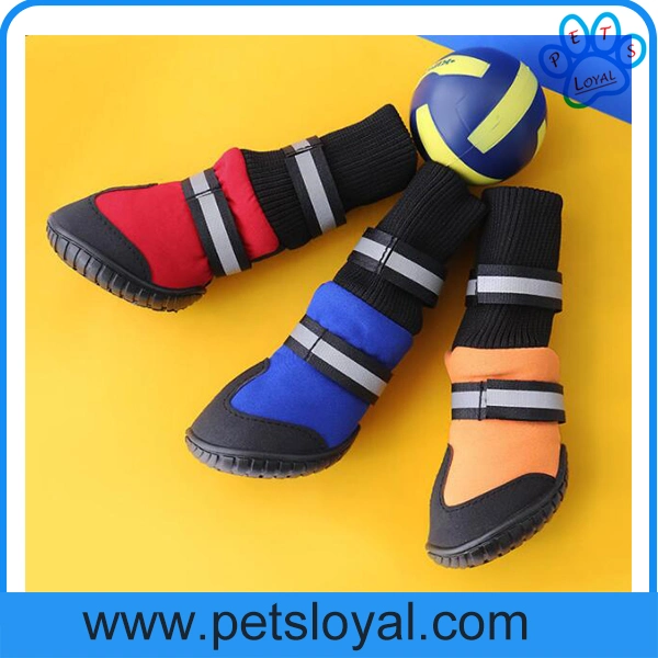 Amazon Standard Factory Wholesale Pet Dog Shoes Dog Product