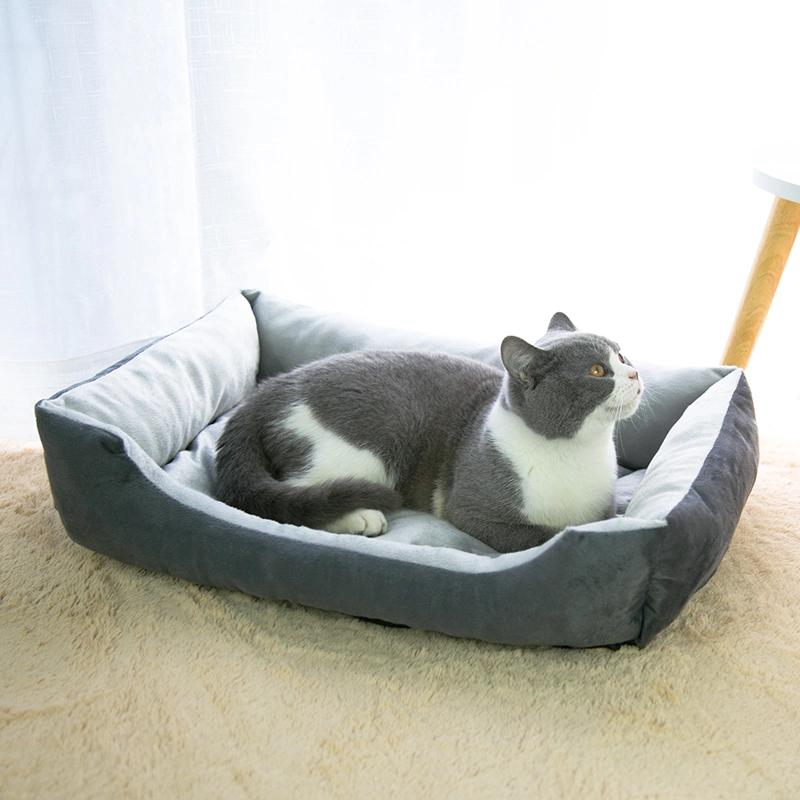 Removable Washable Premium Breathable Pet Sofa Durable Waterproof Orthopedic Memory Foam Cat Dog Bed