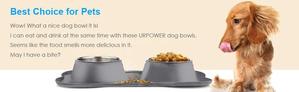 Stainless Steel Double Dog Bowl with Silicone Dog Bowl Mat
