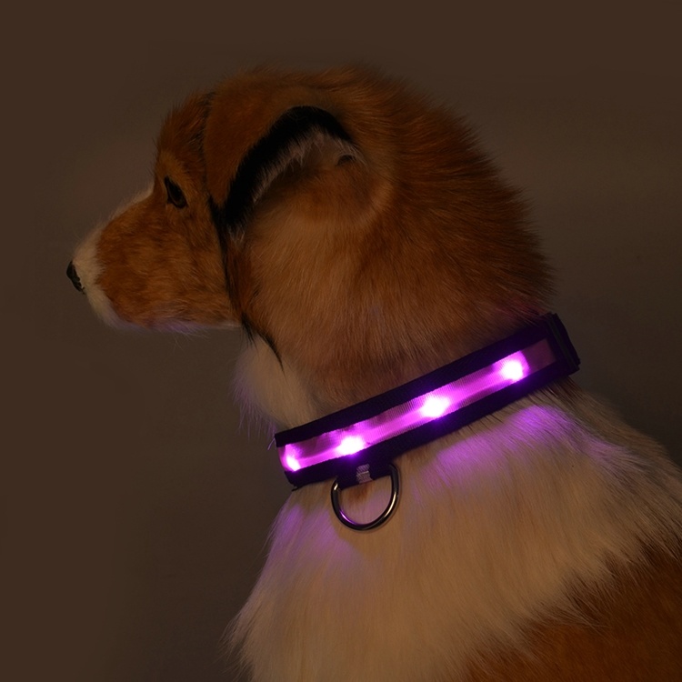 Pet Dog Collars for Dogs Pets Cats Glow LED Collars