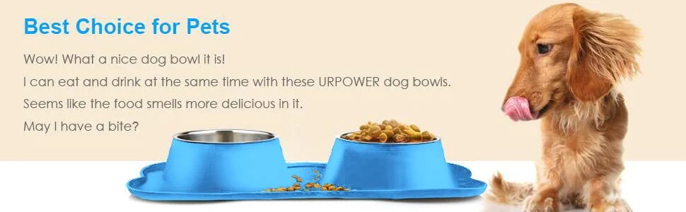 Waterproof Double Dish Stainless Steel Dog Bowl with Non-Skid Pet Dog Mat