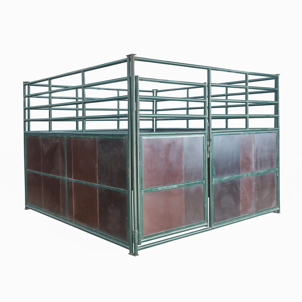 Steel Dog Kennel Pb1552 with Large Space