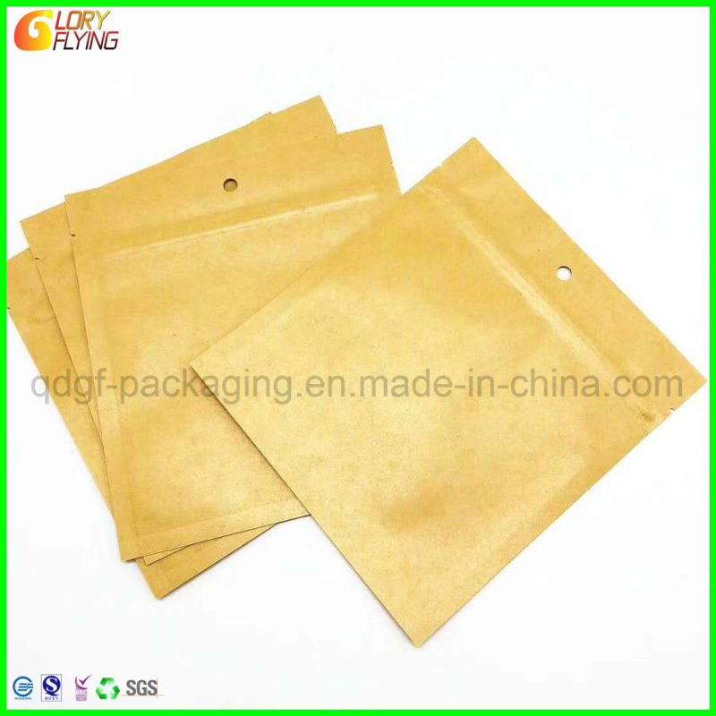 Paper Bag with Zipper/ Plastic Paper Bag/Packaging Bag