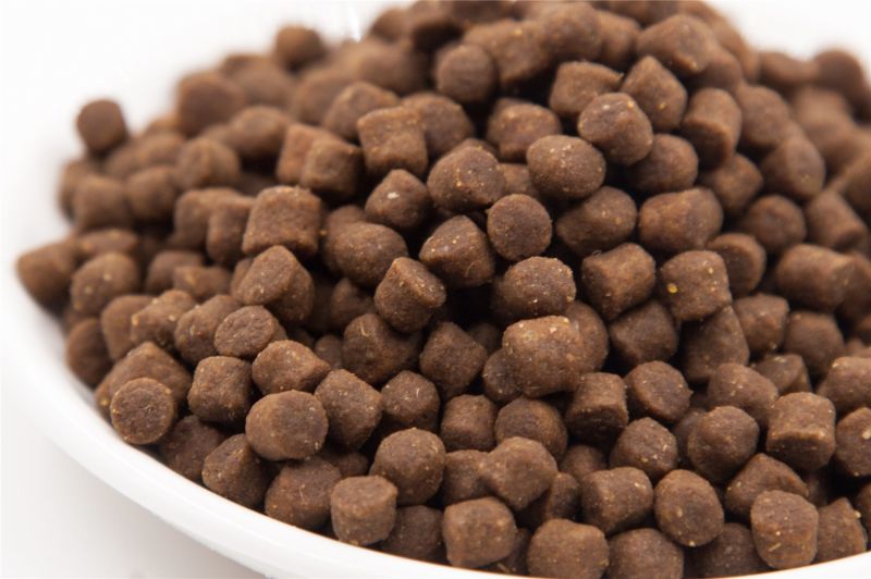 OEM Healthy Dry Dog Food Pet Treat Supply Eco-Friendly