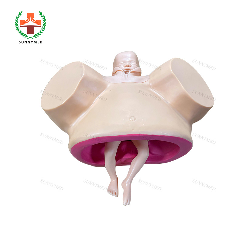 Sy-N064 Medical Childbirth Gynecology Delivery Model for Teaching/Training