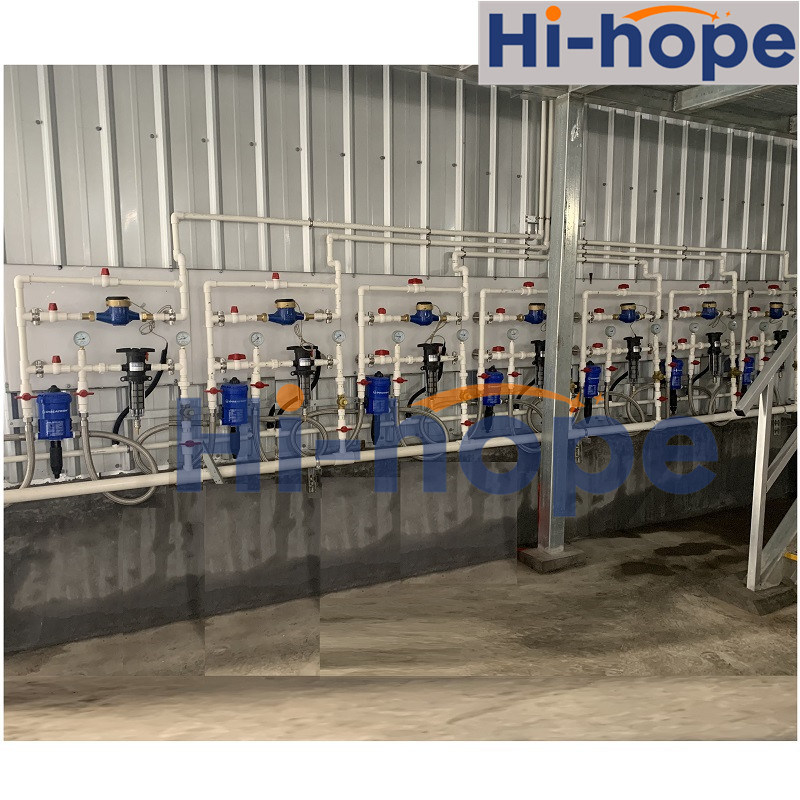 Automatic Chicken Feeders and Drinkers System for Poultry Farm