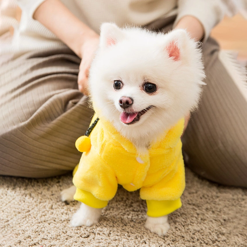 Fashion Focus on Pet Clothes Sweater for Dogs and Cats