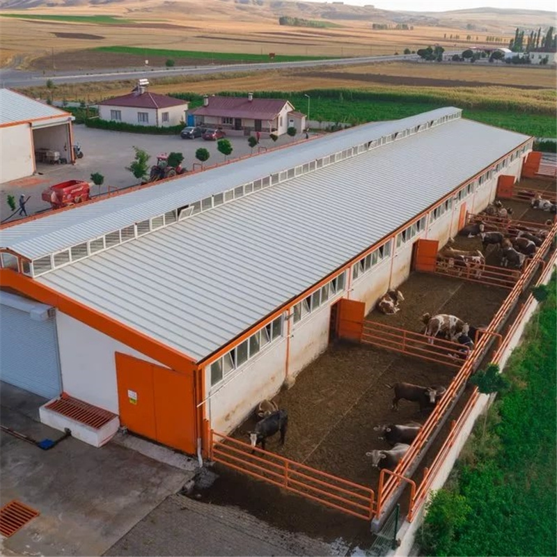 Light Steel Structure Domestic Animal House Prefabricated Poultry House Shed