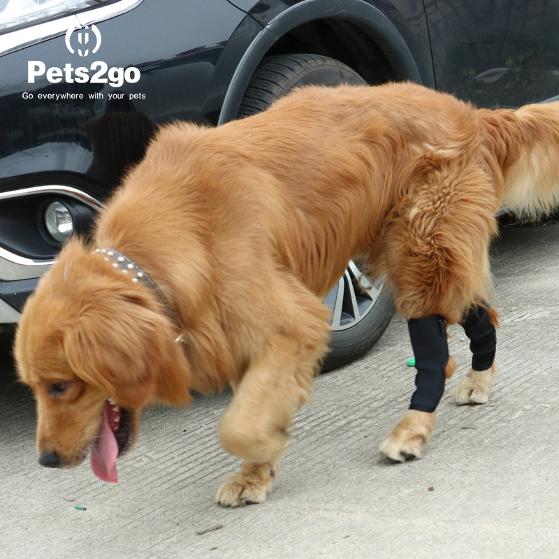 Dog Kneepap Pet Surgery to Restore Joint Protection Pet Supplies