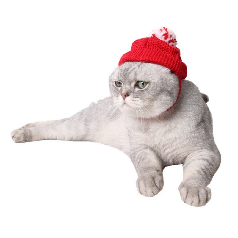 New Year Pet Dog Cat Hat Wool Knitted Costumes Cute Christmas Pet Product Puppy Caps Py
