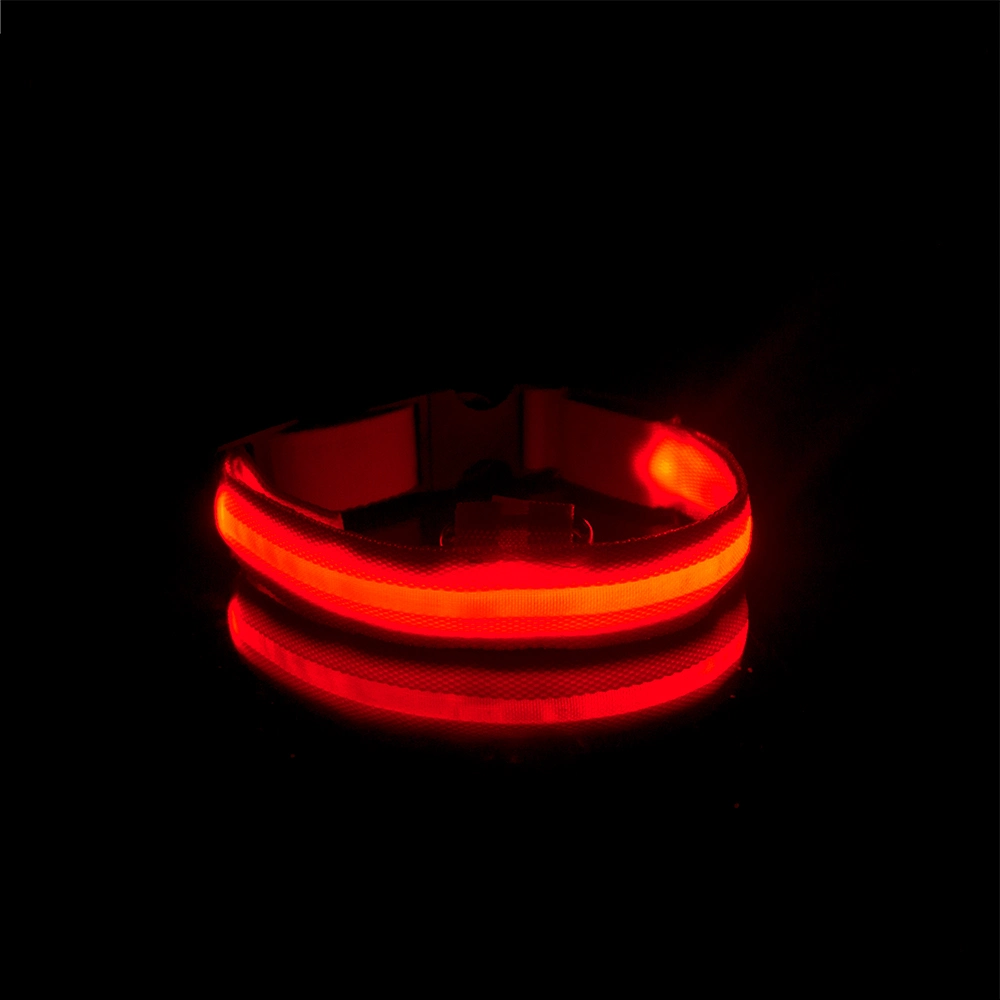 Night Safety Flashing Glow in The Dark Nylon Pet Leash LED Dog Collar Pet Accessories