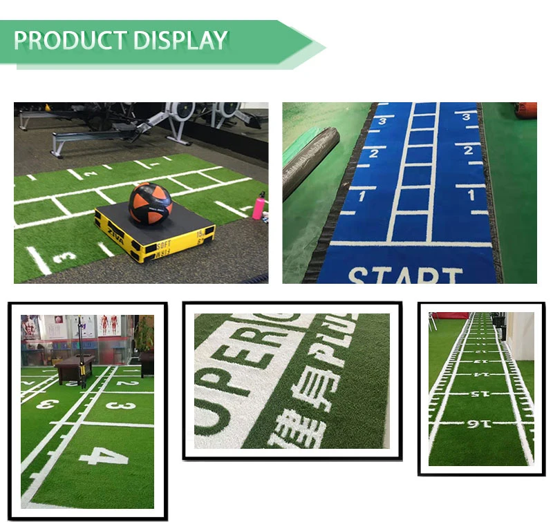 Cost Dog Mat Artificial Decoration Grass Delivered to Canada