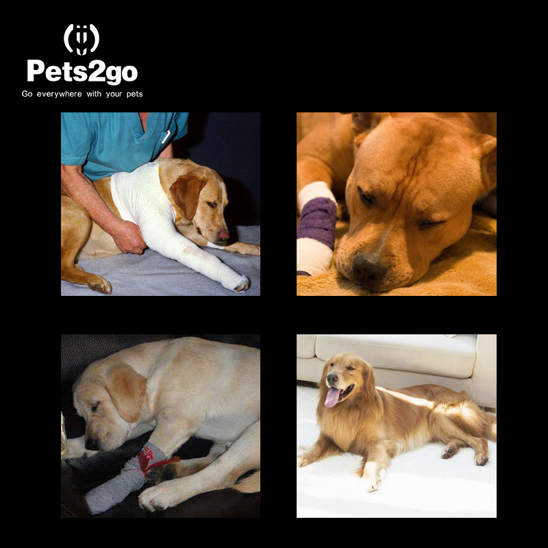 Dog Kneepap Pet Surgery to Restore Joint Protection Pet Supplies