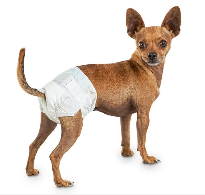 Low Price Absorbent Disposable Pet Diaper Baby Dog Diapers for Dogs