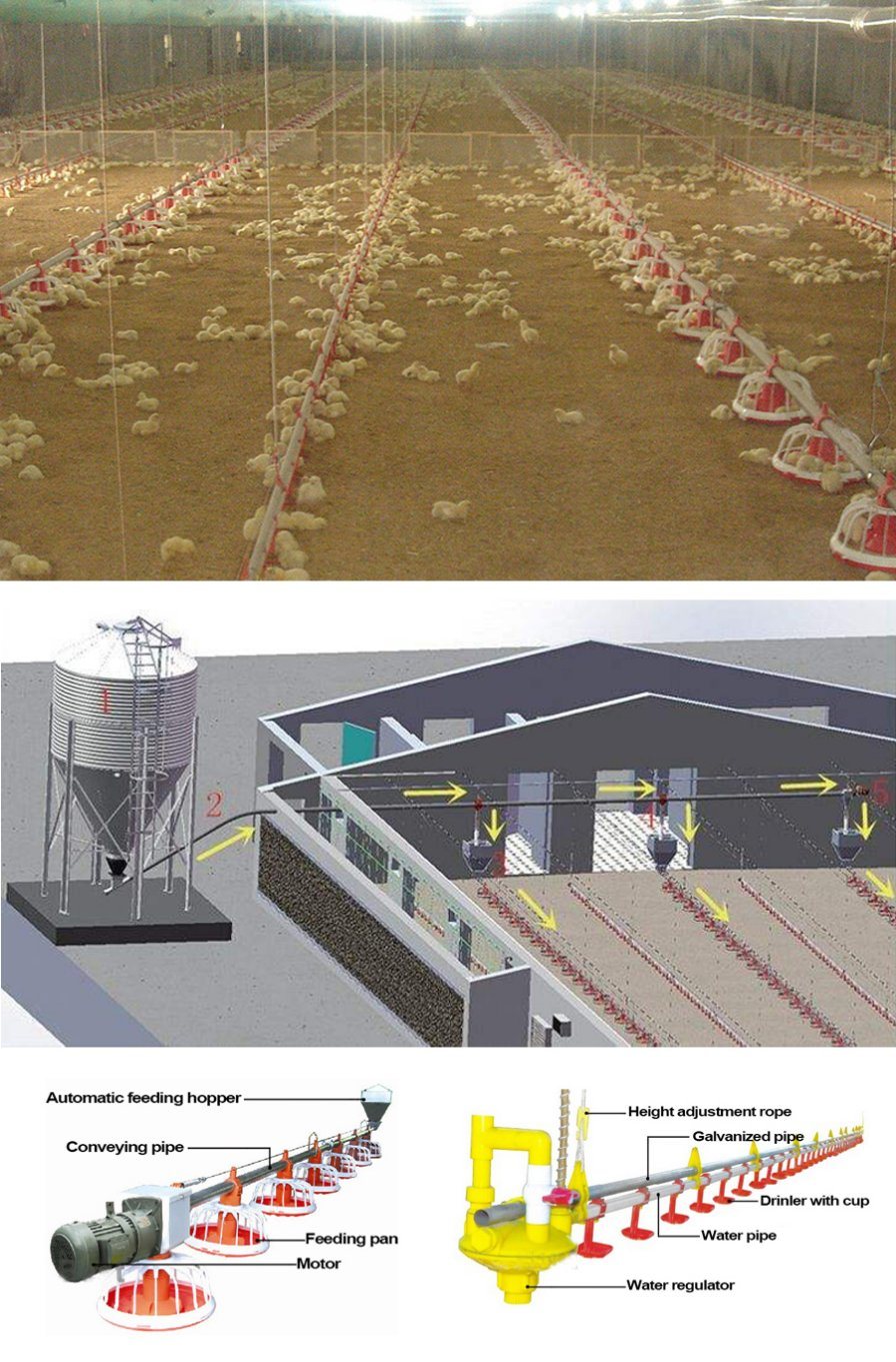 Poultry Equipment Pan Feeding System for Poultry Broiler Feeding System Chicken Feeding Line