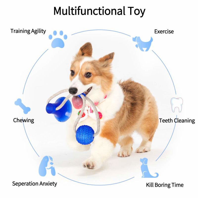 Multi-Function Pet Molar Toy Cleaning Teeth Safe Elasticity for Dog