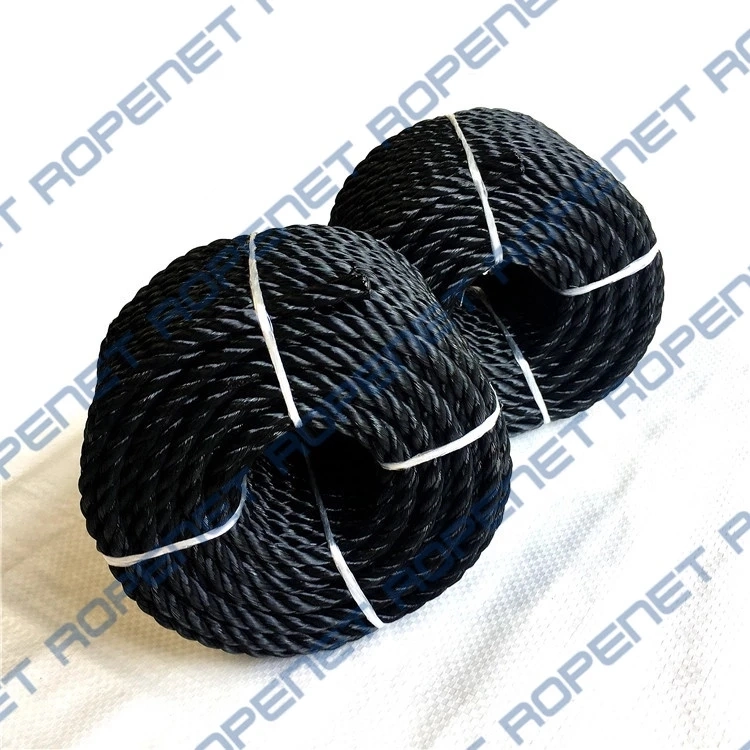 Nylon 3 Strands Twisted Rope Multifilament Pet Rope