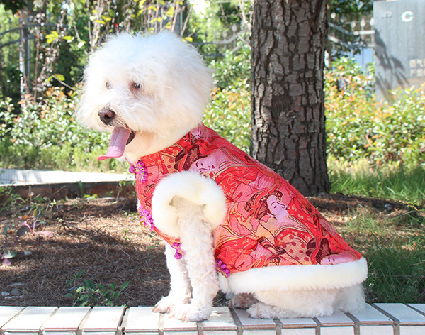 Cotton Padded Clothes with Brocade and Buckle for Pets
