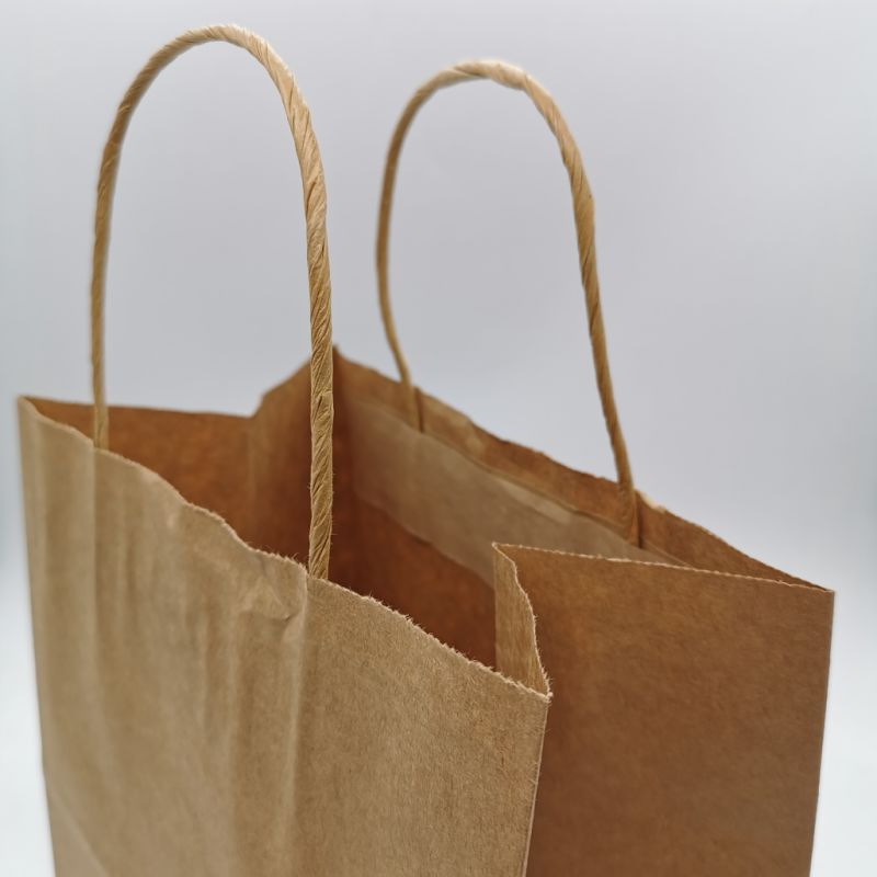 Logo Printing Paper Bags Kraft Paper Bags with Handles