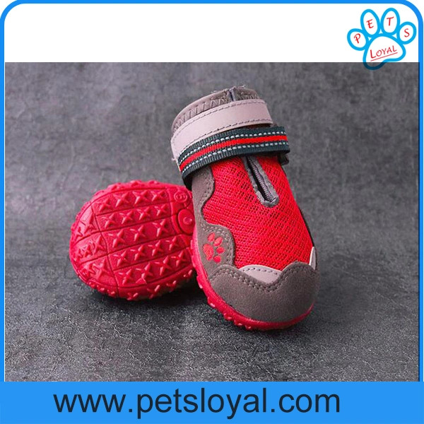 Amazon Standard Pet Product Supply Pet Boots Dog Shoes Manufacturer