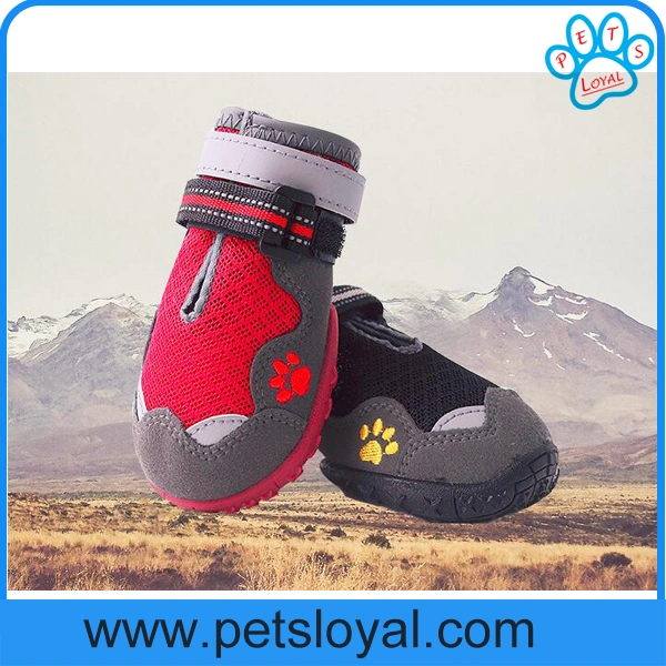 Amazon Standard Pet Product Supply Pet Boots Dog Shoes Manufacturer