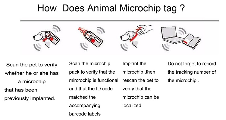 2.12*12mm Pet Microchip Em4305 Chip RFID Microchip Animal Tag