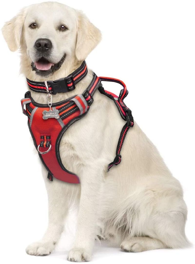 No Pull & Choke-Free Waterproof Dog Harness
