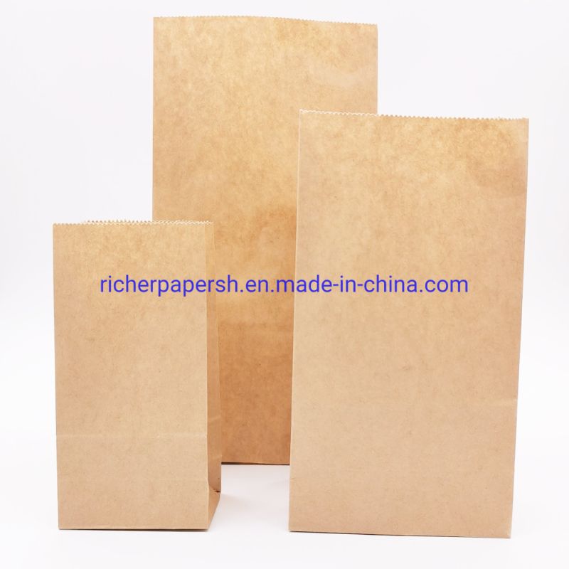 Color Paper Bag Kraft Paper Bag with Custom Logo Printing