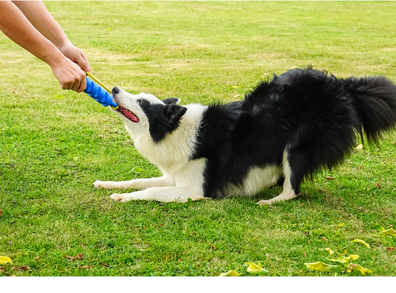 Dog Toy Bite-Resistant Large Dog Interactive Rubber Training Stick