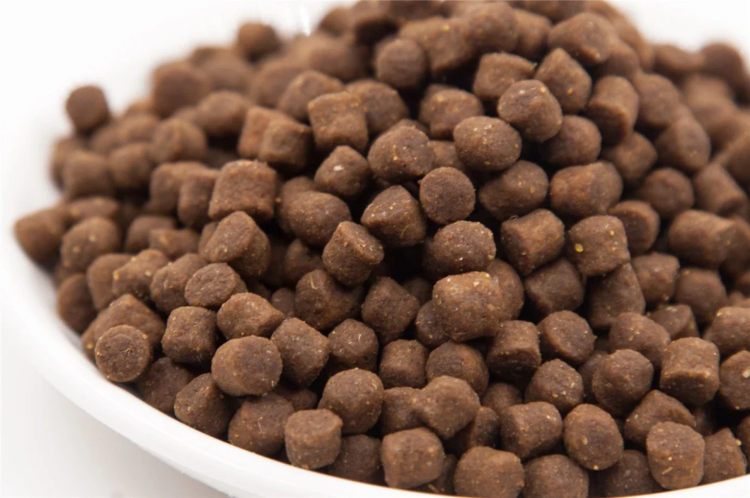 Bulk Wholesale Pet Seek Dry Dog Food