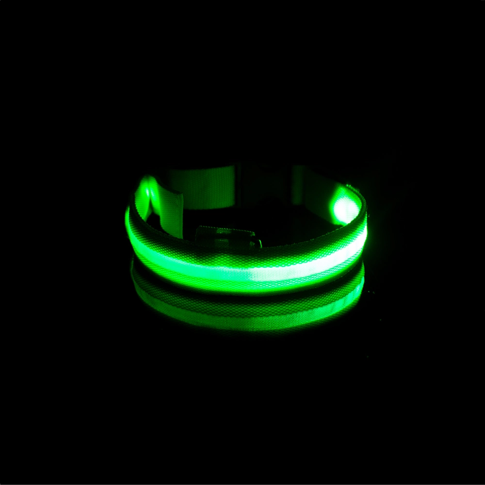 Night Safety Flashing Glow in The Dark Nylon Pet Leash LED Dog Collar Pet Accessories