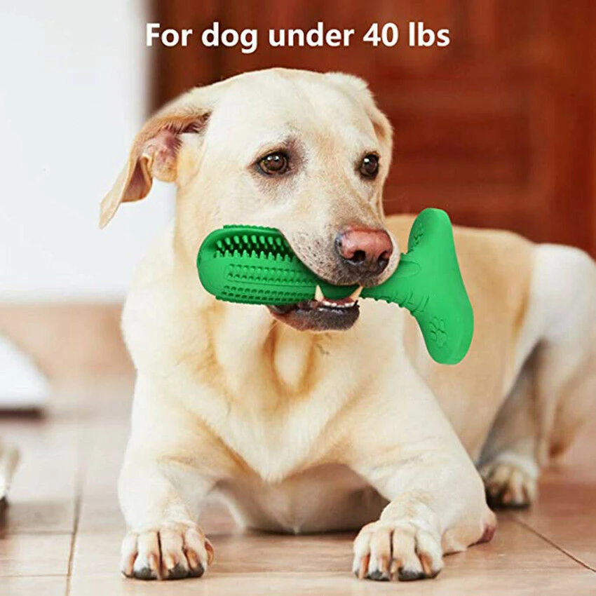 Dog Toothbrush Puppy Teething Brush Pet Chew Toy