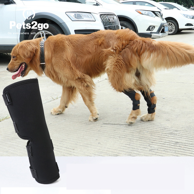 Dog Kneepap Pet Surgery to Restore Joint Protection Pet Supplies