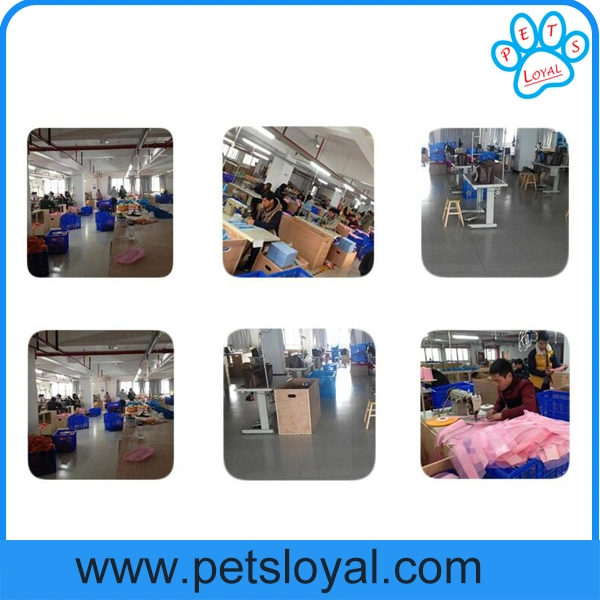 Factory Pet Dog Product Pet Safe Life Clothes