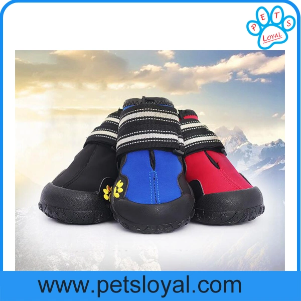 Anti-Slip Water Resistant Sole Dog Product Pet Dog Shoes