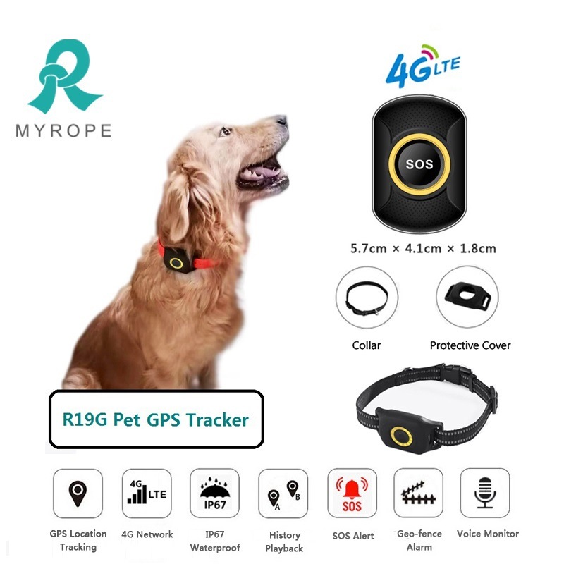 Waterproof Pet GPS Tracker with Microchip GPS Collar for Dog/Cat Animal Tracking Device