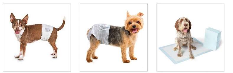 2021 Absorbent Disposable Pet Diaper Baby Dog Diapers for Dogs